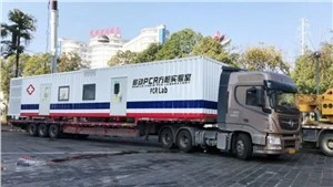 12m Mobile Container PCR Laboratory